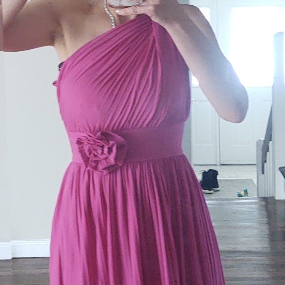 Fushia Max&Cleo dress